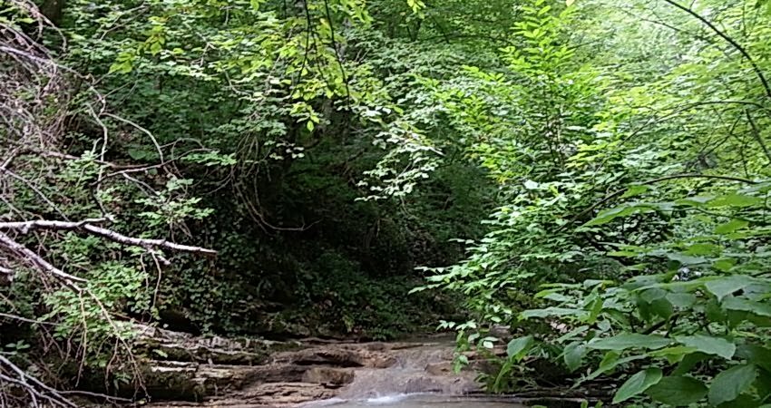 Doğu Karadeniz Yaylaları ve Batum Turu (Klasik Program)