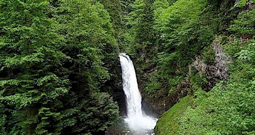 Doğu Karadeniz Yaylaları ve Batum Turu (Klasik Program)