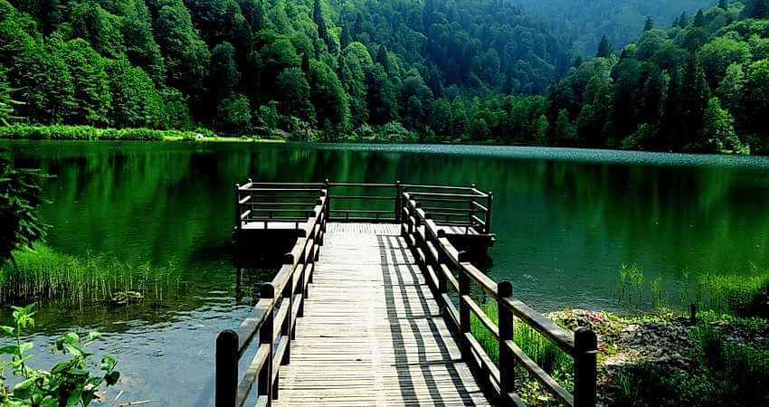 Doğu Karadeniz Yaylaları ve Batum Turu (Klasik Program)