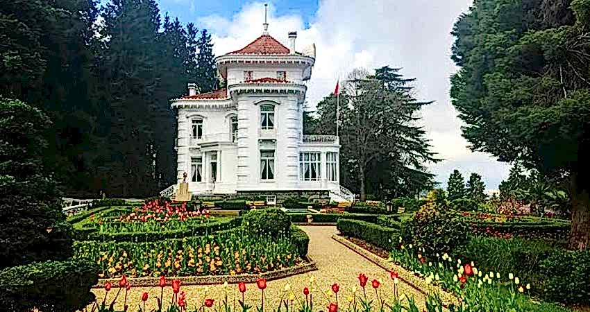 Doğu Karadeniz Yaylaları ve Batum Turu (Klasik Program)