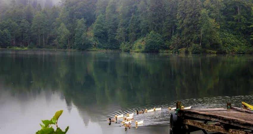 Doğu Karadeniz Yaylaları ve Batum Turu (Klasik Program)