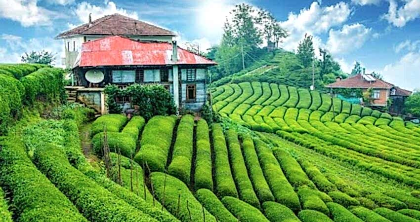 Doğu Karadeniz Batum Turu (Yeni Rota)